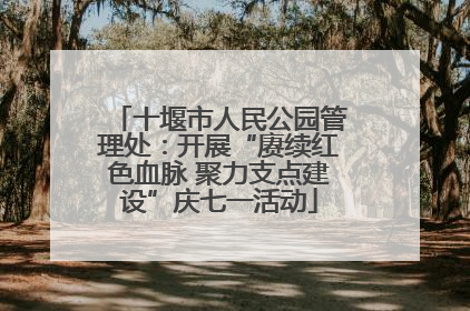 十堰市人民公园管理处：开展“赓续红色血脉 聚力支点建设”庆七一活动