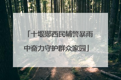 十堰郧西民辅警暴雨中奋力守护群众家园