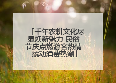 千年农耕文化尽显焕新魅力 民俗节庆点燃游客热情 撬动消费热潮