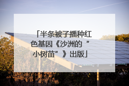 半条被子播种红色基因《沙洲的“小树苗”》出版