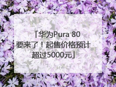华为Pura 80要来了！起售价格预计超过5000元