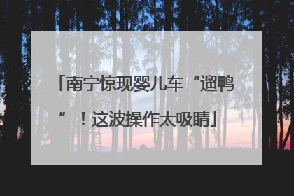 南宁惊现婴儿车“遛鸭”！这波操作太吸睛