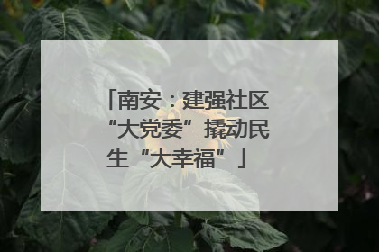 南安：建强社区“大党委”撬动民生“大幸福”