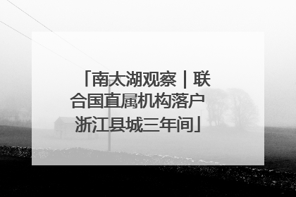 南太湖观察｜联合国直属机构落户浙江县城三年间