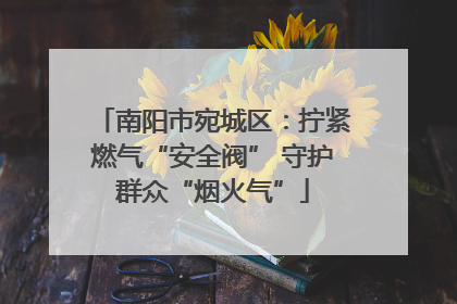 南阳市宛城区：拧紧燃气“安全阀” 守护群众“烟火气”