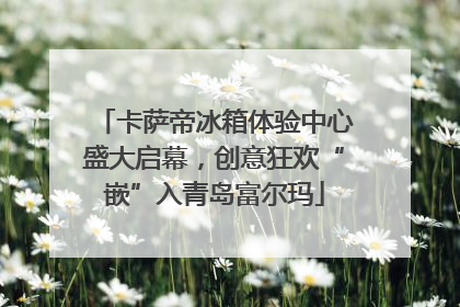卡萨帝冰箱体验中心盛大启幕，创意狂欢“嵌”入青岛富尔玛