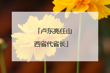 卢东亮任山西省代省长