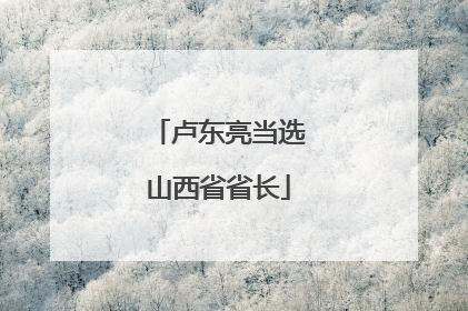 卢东亮当选山西省省长