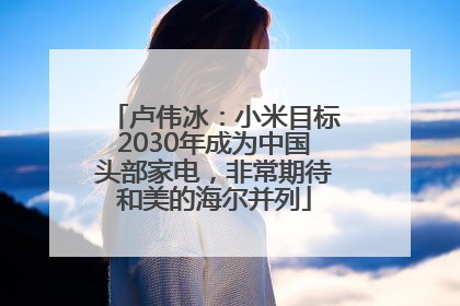 卢伟冰：小米目标2030年成为中国头部家电，非常期待和美的海尔并列