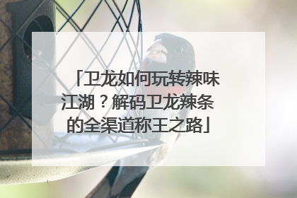 卫龙如何玩转辣味江湖？解码卫龙辣条的全渠道称王之路