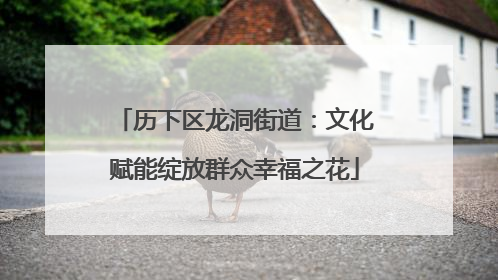 历下区龙洞街道：文化赋能绽放群众幸福之花