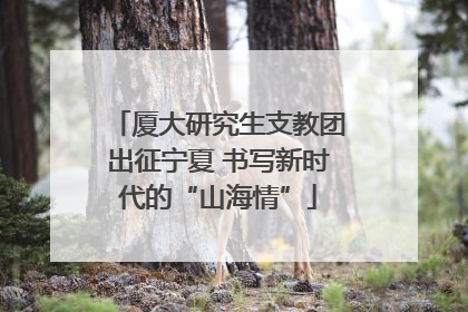 厦大研究生支教团出征宁夏 书写新时代的“山海情”
