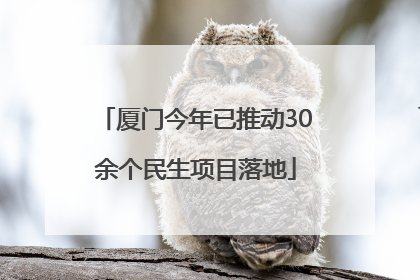 厦门今年已推动30余个民生项目落地