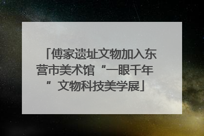 傅家遗址文物加入东营市美术馆“一眼千年”文物科技美学展