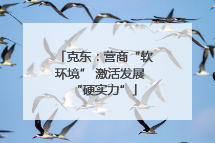 克东：营商“软环境” 激活发展“硬实力”