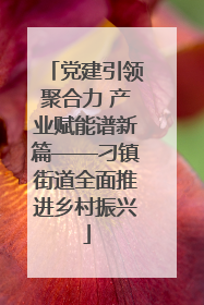 党建引领聚合力 产业赋能谱新篇——刁镇街道全面推进乡村振兴