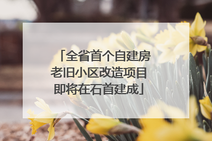全省首个自建房老旧小区改造项目即将在石首建成