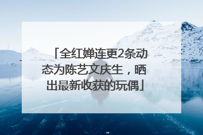 全红婵连更2条动态为陈艺文庆生，晒出最新收获的玩偶