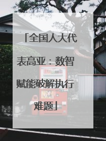 全国人大代表高亚：数智赋能破解执行难题