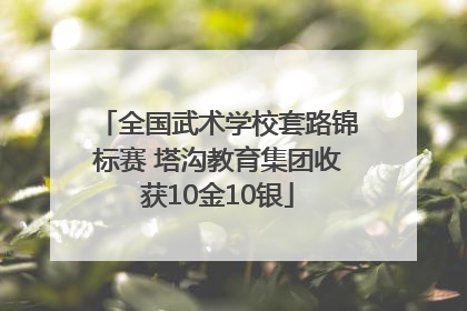 全国武术学校套路锦标赛 塔沟教育集团收获10金10银
