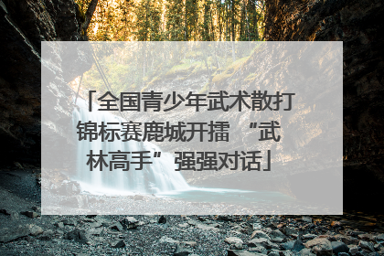 全国青少年武术散打锦标赛鹿城开擂 “武林高手”强强对话