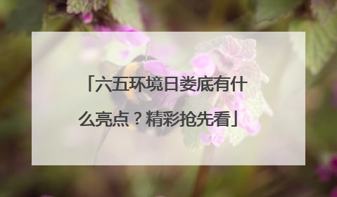 六五环境日娄底有什么亮点？精彩抢先看