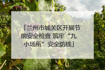 兰州市城关区开展节前安全检查 筑牢“九小场所”安全防线