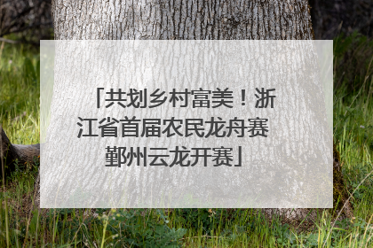 共划乡村富美！浙江省首届农民龙舟赛鄞州云龙开赛