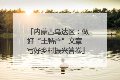 内蒙古乌达区：做好“土特产”文章 写好乡村振兴答卷