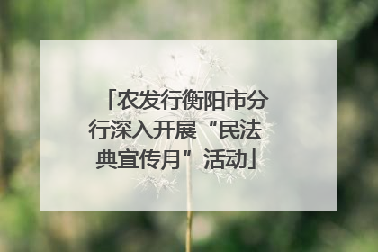 农发行衡阳市分行深入开展“民法典宣传月”活动