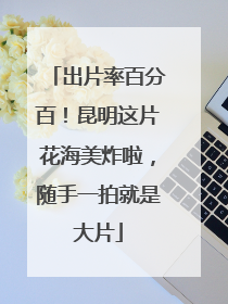 出片率百分百！昆明这片花海美炸啦，随手一拍就是大片
