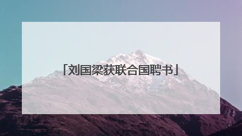 刘国梁获联合国聘书