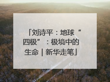 刘诗平：地球“四极”：极境中的生命｜新华走笔