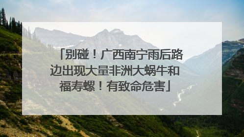 别碰！广西南宁雨后路边出现大量非洲大蜗牛和福寿螺！有致命危害