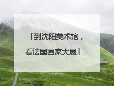 到沈阳美术馆，看法国画家大展