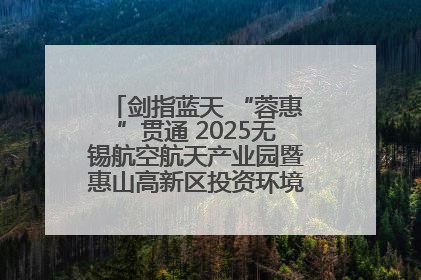 剑指蓝天 “蓉惠”贯通 2025无锡航空航天产业园暨惠山高新区投资环境推介会在成都举行