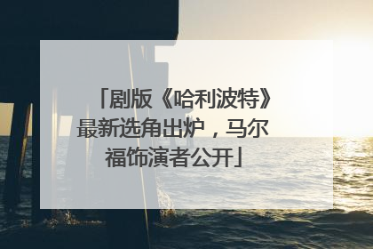 剧版《哈利波特》最新选角出炉，马尔福饰演者公开