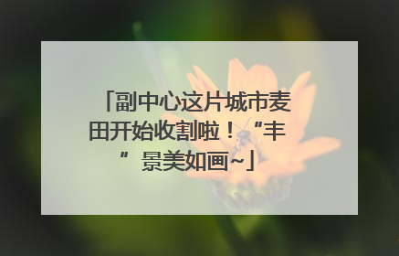 副中心这片城市麦田开始收割啦！“丰”景美如画~