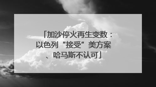 加沙停火再生变数：以色列“接受”美方案、哈马斯不认可