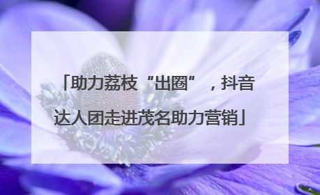 助力荔枝“出圈”，抖音达人团走进茂名助力营销