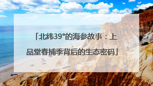 北纬39°的海参故事：上品堂春捕季背后的生态密码
