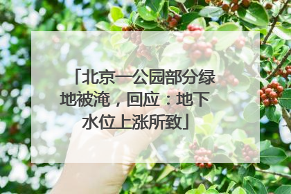 北京一公园部分绿地被淹，回应：地下水位上涨所致