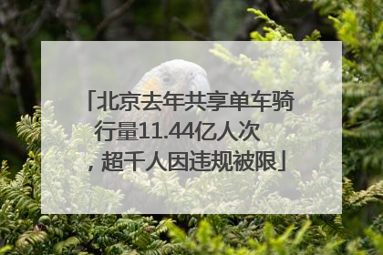 北京去年共享单车骑行量11.44亿人次，超千人因违规被限