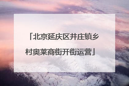 北京延庆区井庄镇乡村奥莱商街开街运营