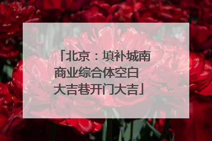 北京：填补城南商业综合体空白 大吉巷开门大吉