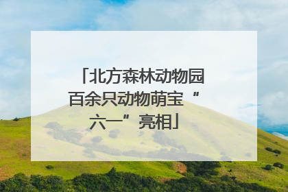 北方森林动物园百余只动物萌宝“六一”亮相
