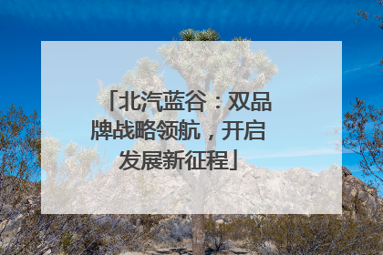 北汽蓝谷：双品牌战略领航，开启发展新征程