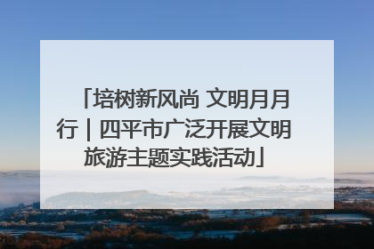 培树新风尚 文明月月行｜四平市广泛开展文明旅游主题实践活动