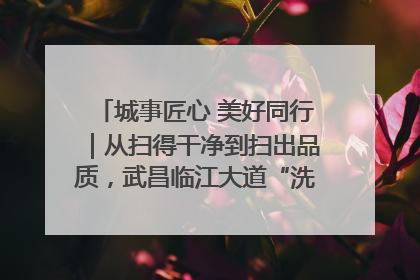 城事匠心 美好同行｜从扫得干净到扫出品质，武昌临江大道“洗”出洁净样板路