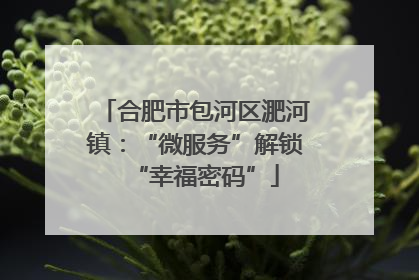 合肥市包河区淝河镇：“微服务”解锁“幸福密码”